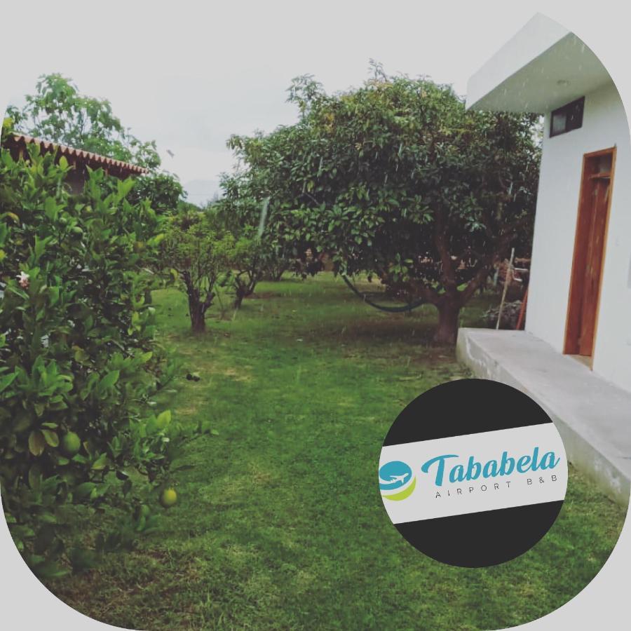 Tababela Airport B&B Eksteriør billede
